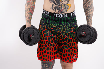 TCOOL MESH - LINEA DRAGON-GREEN/ORANGE