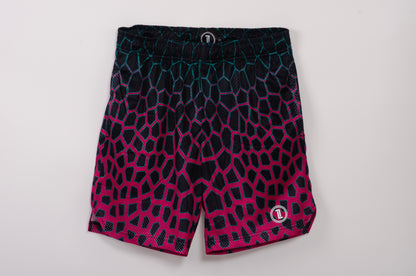 TCOOL MESH - LINEA DRAGON-GREEN/PURPLE